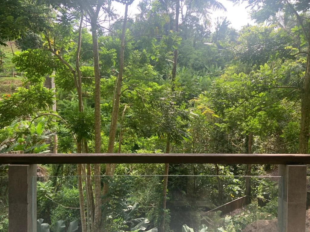 Ubud Hills Villas & Resort: another view